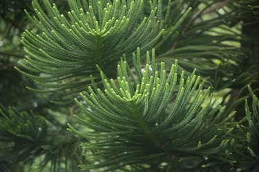 Similar image 22349686