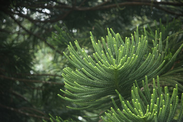 Similar image 22349687