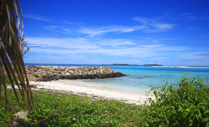 Similar image 22349688