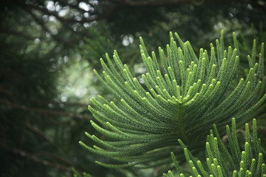 Similar image 22349689