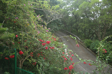 Similar image 22349691