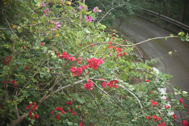 Similar image 22349693