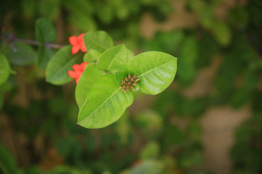 Similar image 22349694