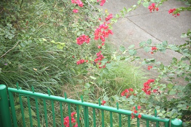 Similar image 22349695