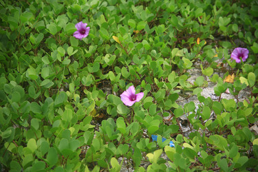 Similar image 22349697