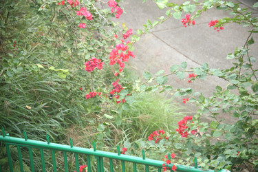 Similar image 22349698