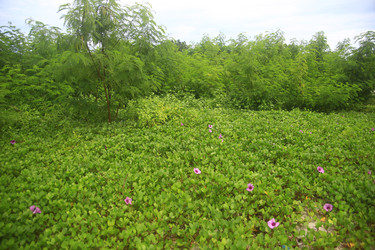 Similar image 22349699