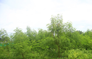 Similar image 22349701