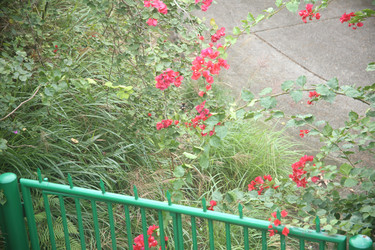 Similar image 22349702