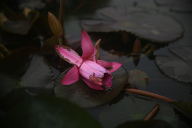 Similar image 22349703