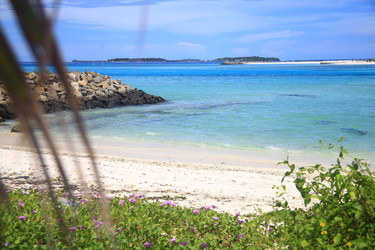 Similar image 22349704