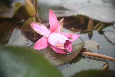 Similar image 22349705