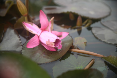 Similar image 22349706