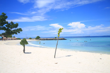 Similar image 22349708