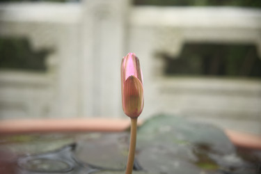 Similar image 22349709