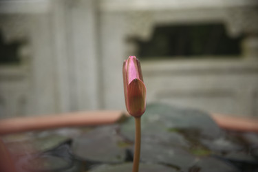 Similar image 22349710