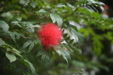 Similar image 22349711