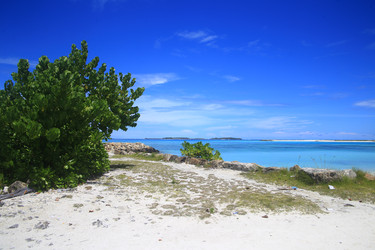 Similar image 22349716