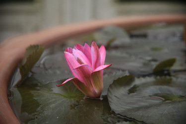 Similar image 22349717