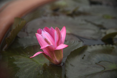 Similar image 22349718