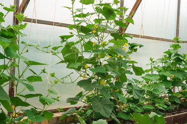 Similar image 22348626