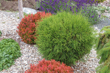 Similar image 22350943