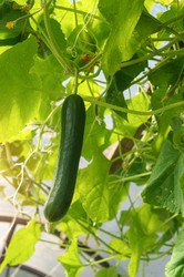 Similar image 22348627