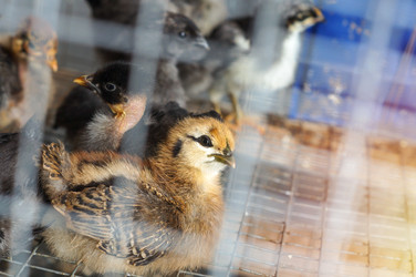 Similar image 22348629