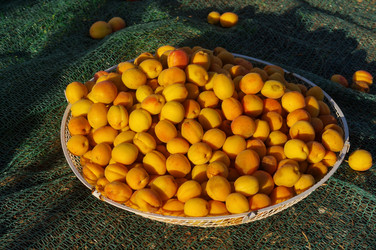 Similar image 22348630