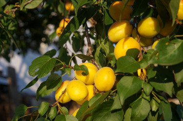 Similar image 22348631