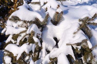 Similar image 22348635