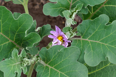 Similar image 22351989