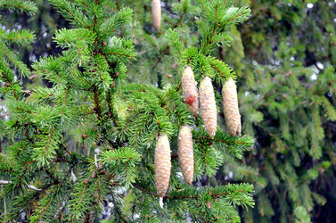 Similar image 22348370