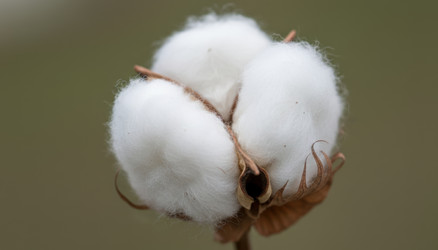 Similar image 22373867