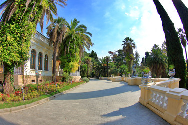 Similar image 22348697