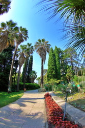 Similar image 22348706