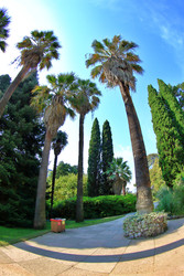 Similar image 22348709