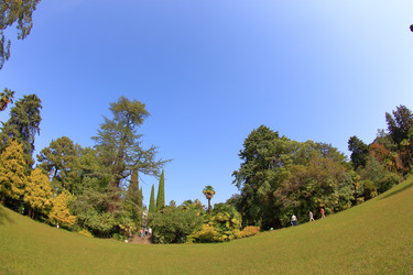 Similar image 22348716