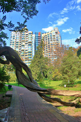 Similar image 22348720