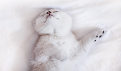 Similar image 22351227