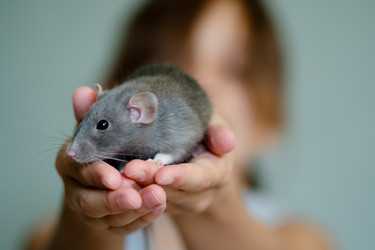 Similar image 22350844