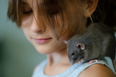 Similar image 22350847