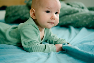 Similar image 22350855