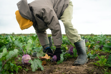 Similar image 22350880