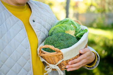 Similar image 22351141