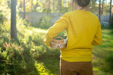 Similar image 22351142