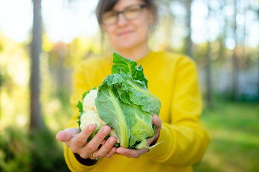 Similar image 22351145