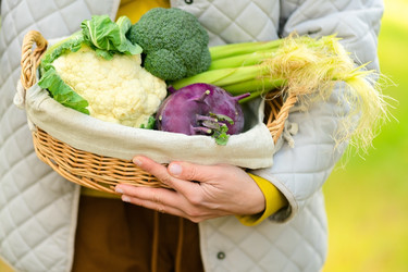 Similar image 22351780