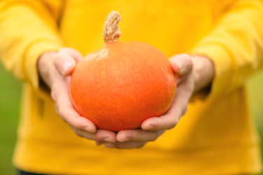 Similar image 22351782