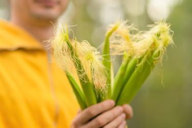 Similar image 22351783